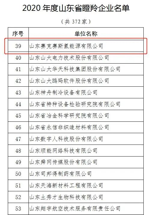 山東瞪羚企業(yè)01.png 山東瞪羚企業(yè)01.png